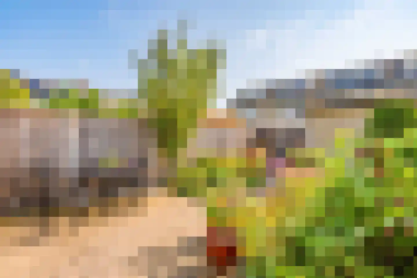 Saffraanweg 49 Voorhout thumbnail 18