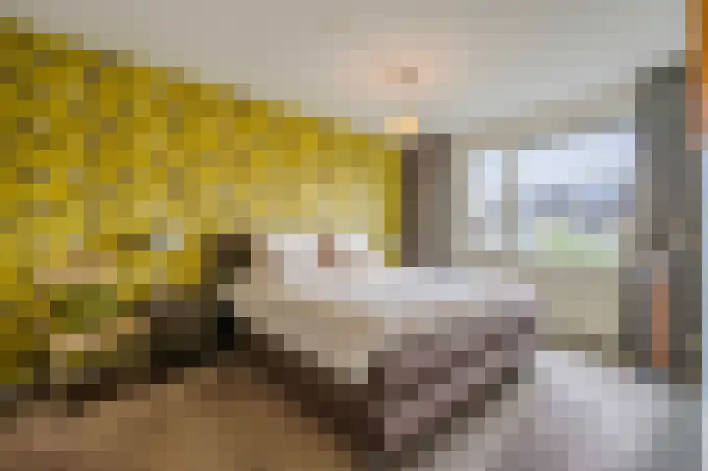 Saffraanweg 49 Voorhout thumbnail 25