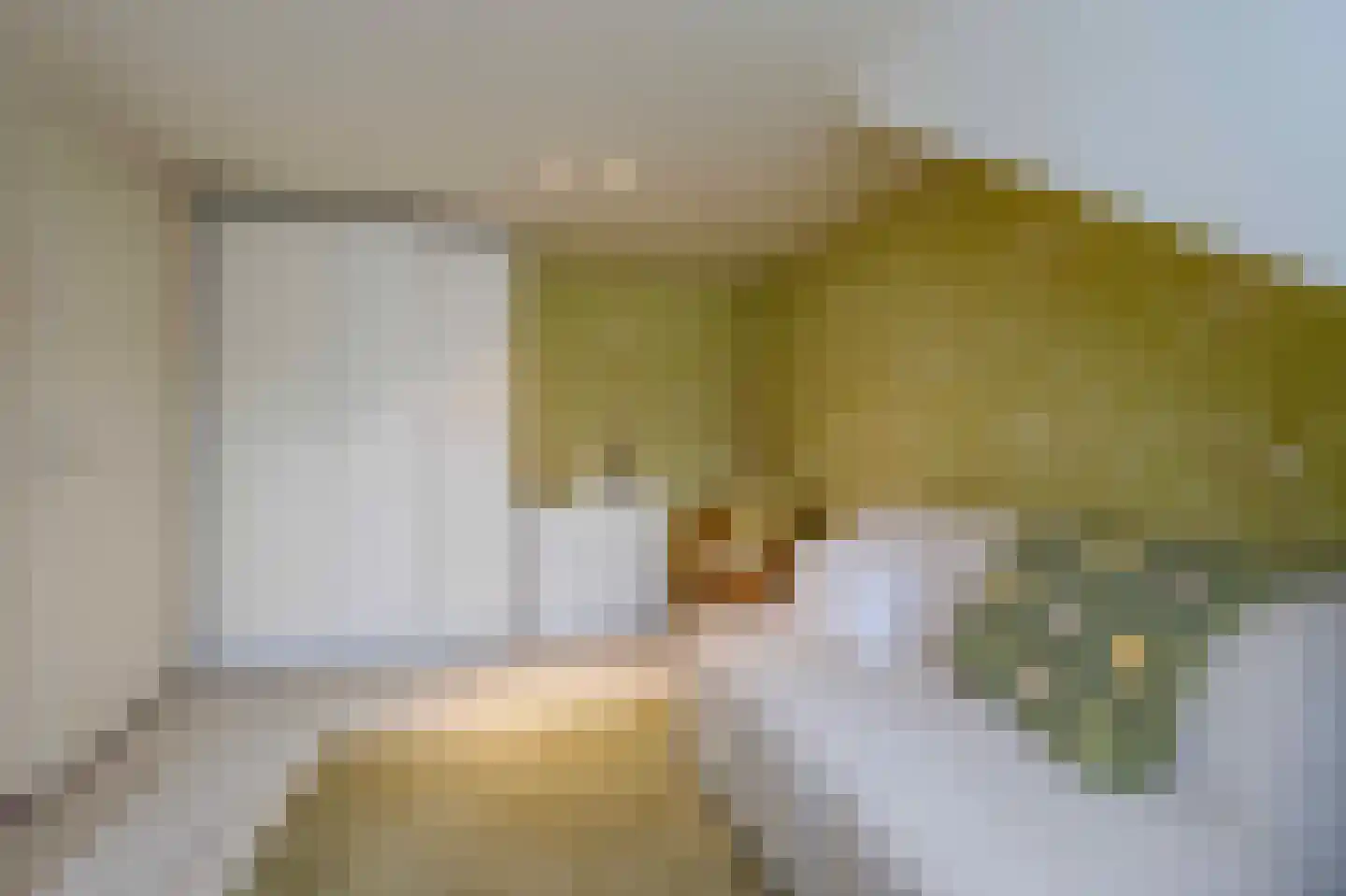 Saffraanweg 49 Voorhout thumbnail 38