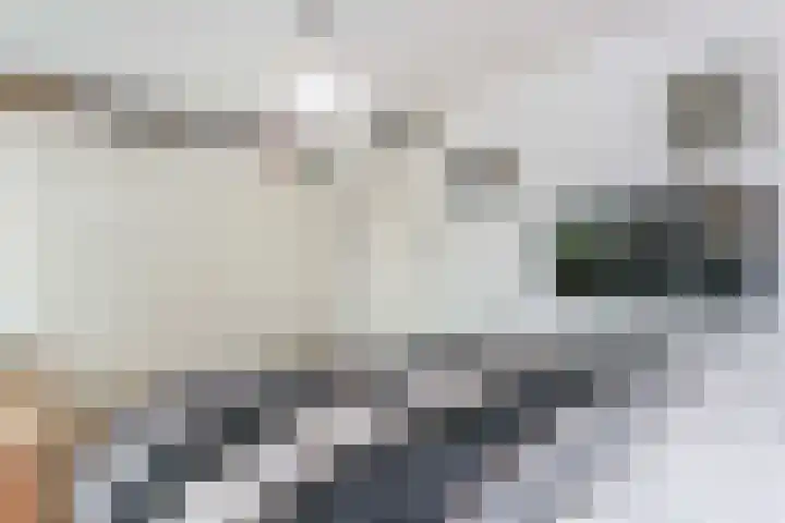 Saffraanweg 59 Utrecht thumbnail 13