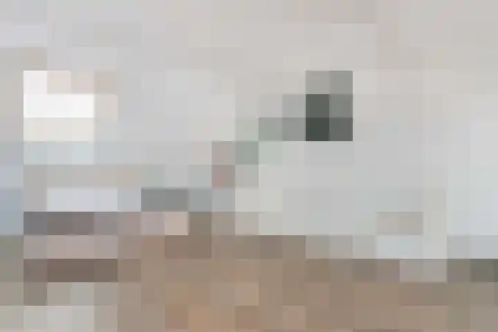Saffraanweg 59 Utrecht thumbnail 18