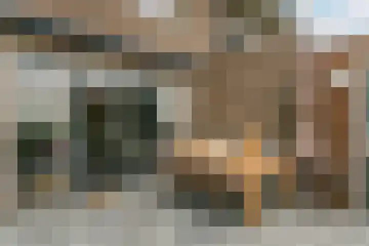 Saffraanweg 59 Utrecht thumbnail 21