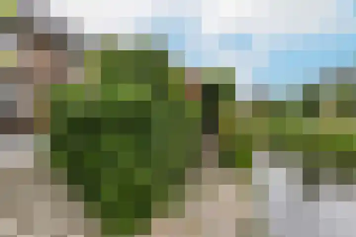 Saffraanweg 59 Utrecht thumbnail 23