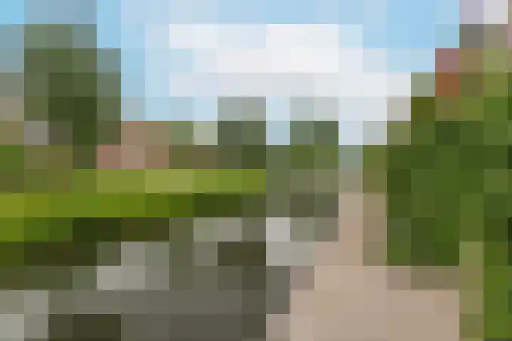 Saffraanweg 59 Utrecht thumbnail 24