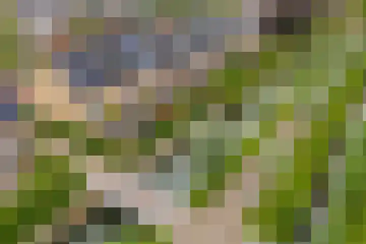 Saffraanweg 59 Utrecht thumbnail 25