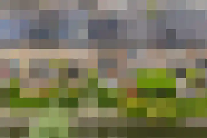 Saffraanweg 59 Utrecht thumbnail 26