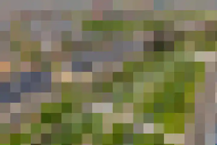 Saffraanweg 59 Utrecht thumbnail 27