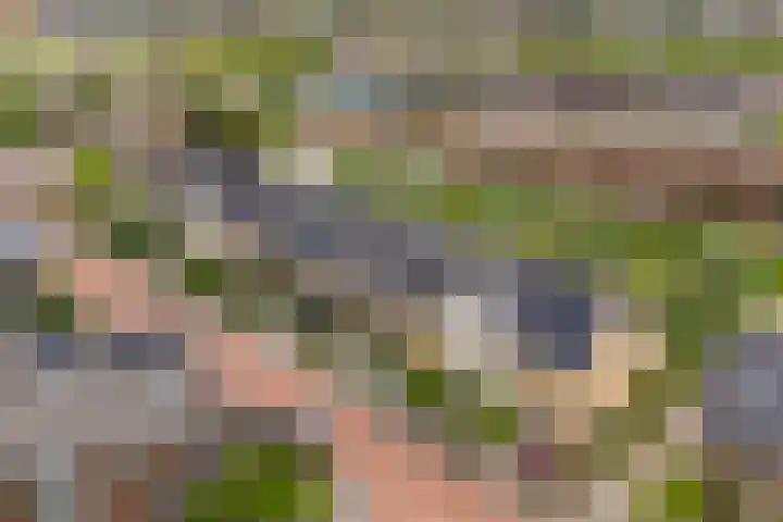 Saffraanweg 59 Utrecht thumbnail 28