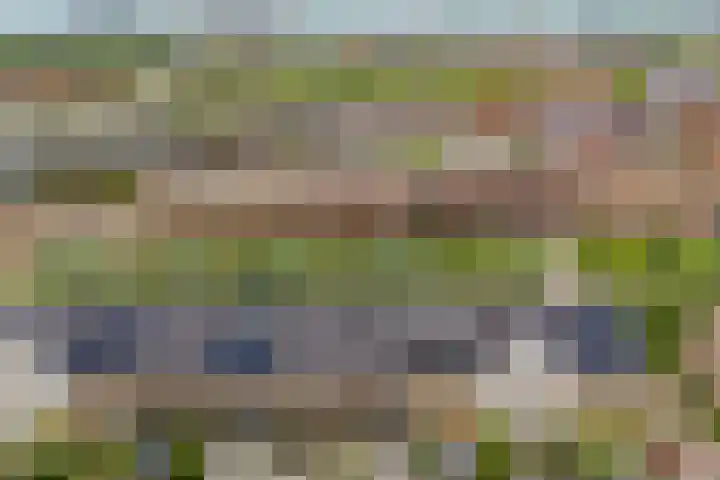 Saffraanweg 59 Utrecht thumbnail 29