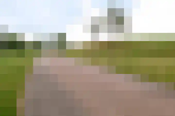Saffraanweg 59 Utrecht thumbnail 34