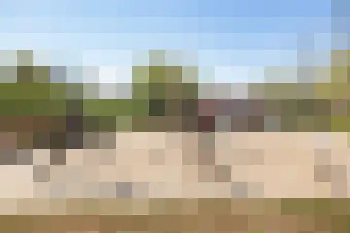 Saffraanweg 59 Utrecht thumbnail 36