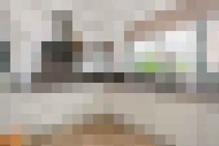 Saffraanweg 59 Utrecht thumbnail 4