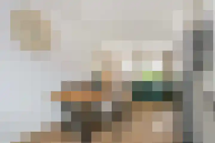 Saffraanweg 59 Utrecht thumbnail 9