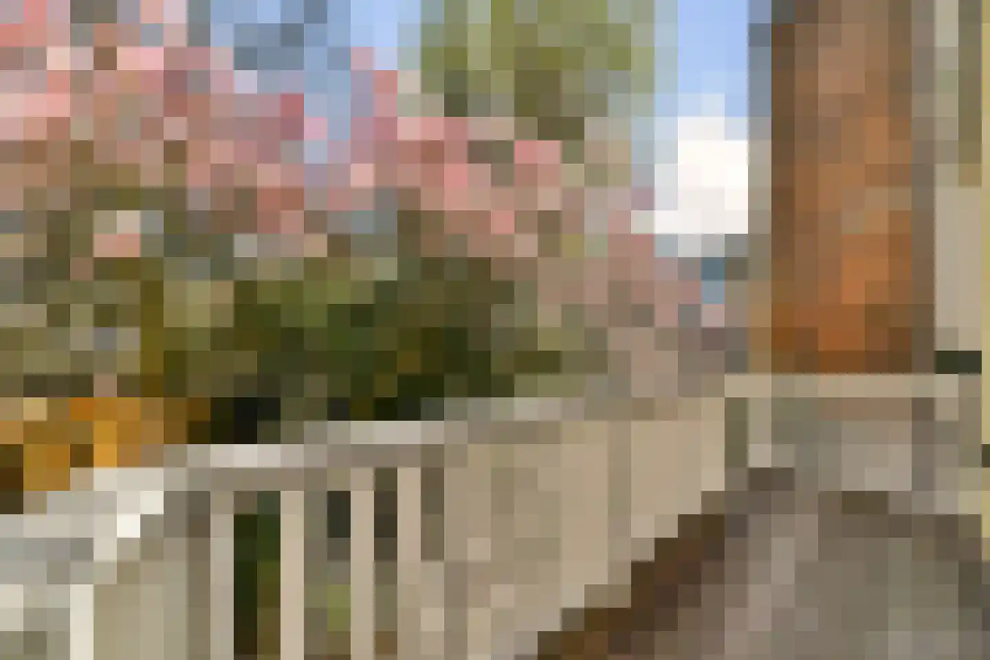 Saftlevenstraat 2 B Rotterdam thumbnail 14