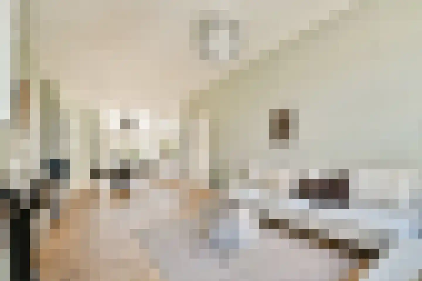 Saftlevenstraat 2 B Rotterdam thumbnail 4