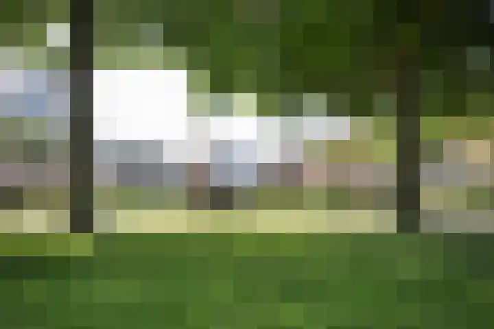Saftlevenstraat 40 C Rotterdam thumbnail 25