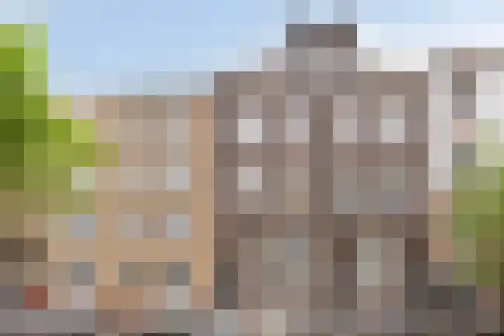 Saftlevenstraat 40 C Rotterdam thumbnail 27