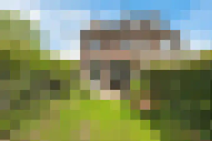 Sagenlaan 64 Amersfoort thumbnail 21