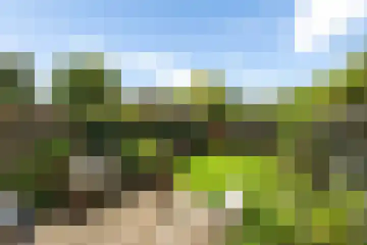Sagenlaan 64 Amersfoort thumbnail 23