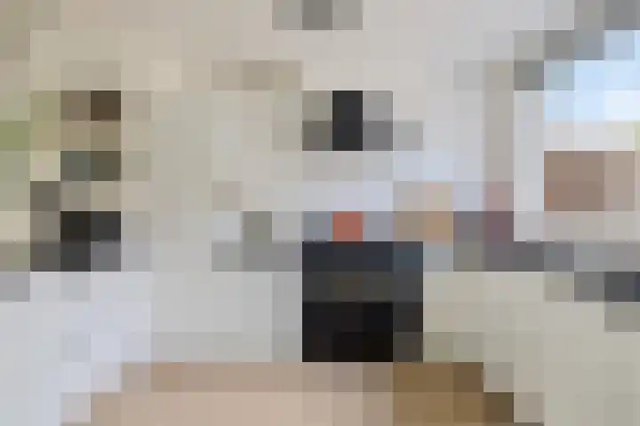 Sagenlaan 64 Amersfoort thumbnail 6