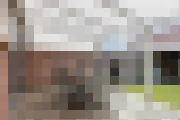Sagenstraat 23 Veldhoven thumbnail 28