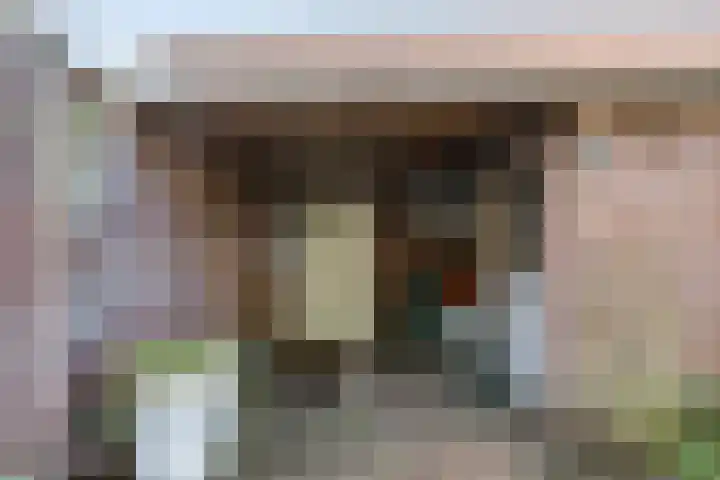 Sagenstraat 23 Veldhoven thumbnail 29
