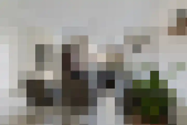Sagenstraat 23 Veldhoven thumbnail 7