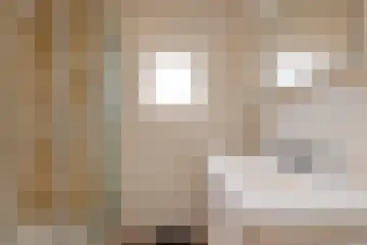 Sagitta 17 Veldhoven thumbnail 14
