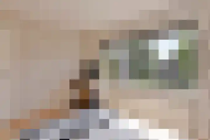 Sagitta 17 Veldhoven thumbnail 17