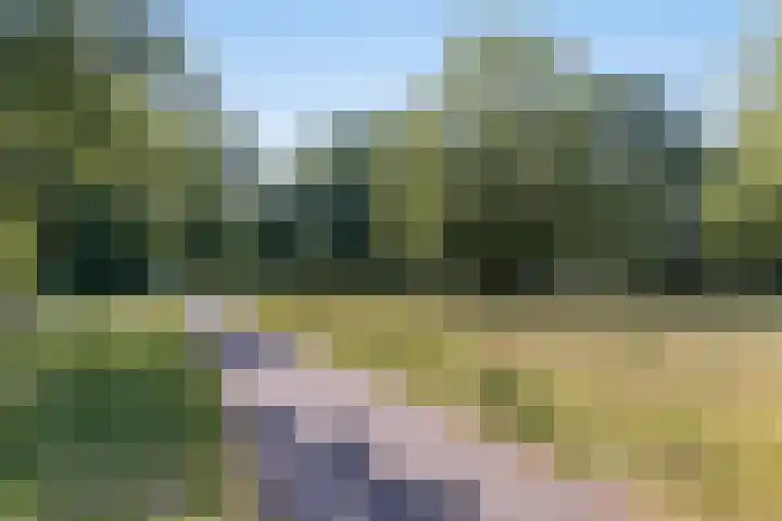 Sagitta 17 Veldhoven thumbnail 56