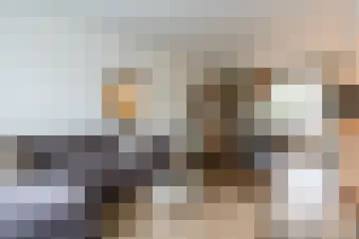 Sagitta 24 Veldhoven thumbnail 10