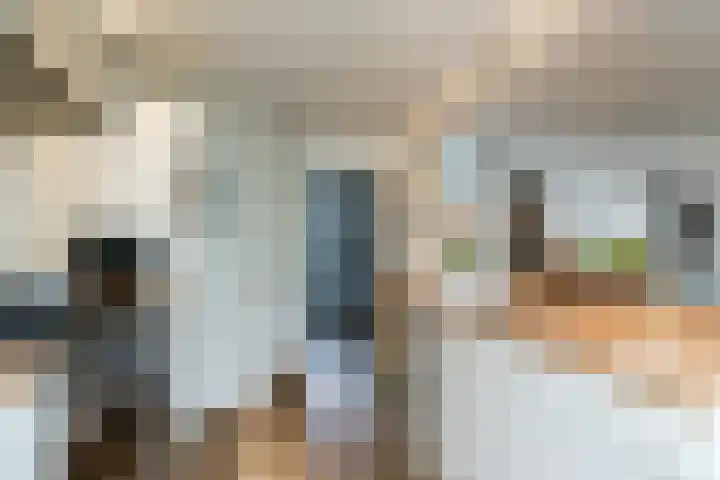 Sagitta 24 Veldhoven thumbnail 16