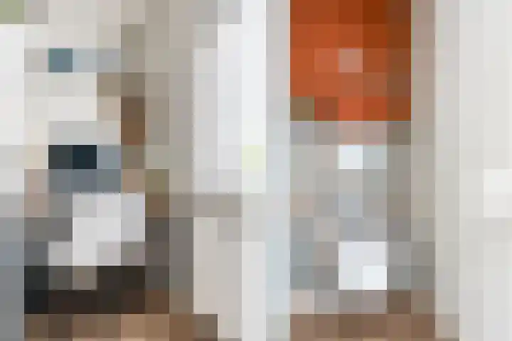 Sagitta 24 Veldhoven thumbnail 21
