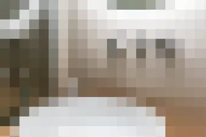 Sagitta 24 Veldhoven thumbnail 27