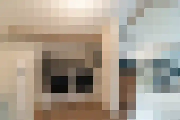 Sagitta 24 Veldhoven thumbnail 29