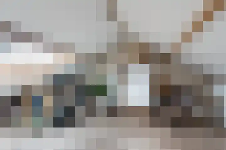 Sagitta 24 Veldhoven thumbnail 30