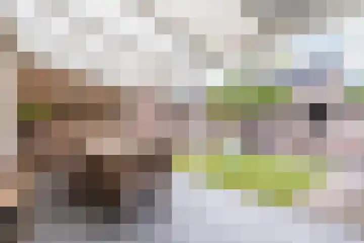 Sagitta 24 Veldhoven thumbnail 33