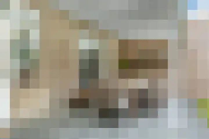 Sagitta 24 Veldhoven thumbnail 34