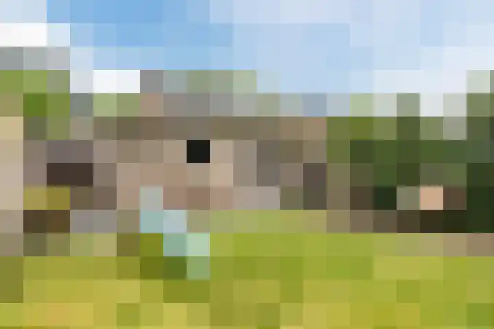 Sagitta 24 Veldhoven thumbnail 35