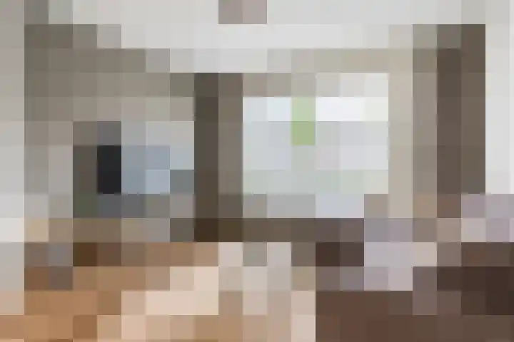 Sagitta 24 Veldhoven thumbnail 9