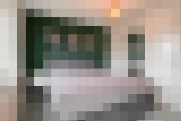 Sagitta 38 Veldhoven thumbnail 17