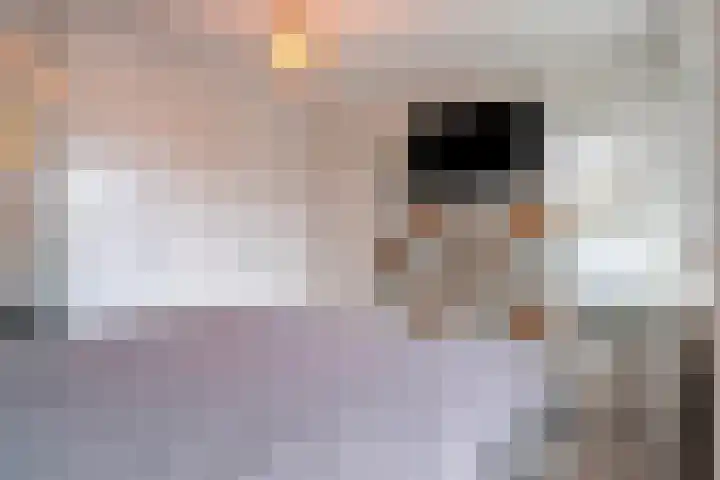 Sagitta 38 Veldhoven thumbnail 18