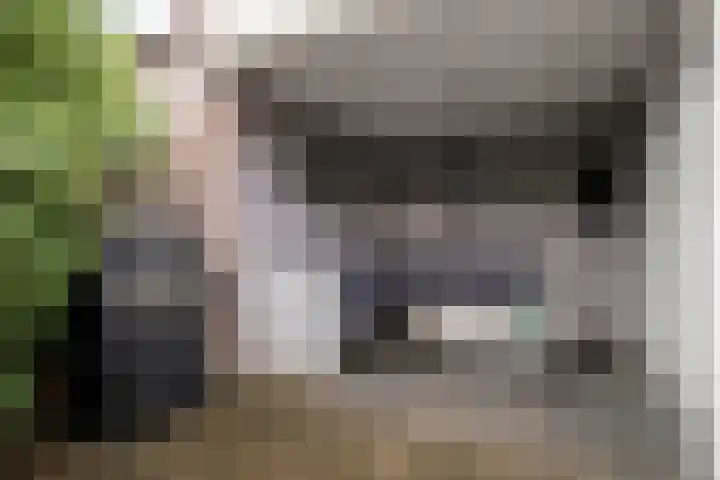 Sagitta 38 Veldhoven thumbnail 27