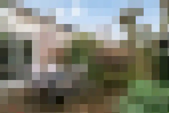 Sagitta 38 Veldhoven thumbnail 29