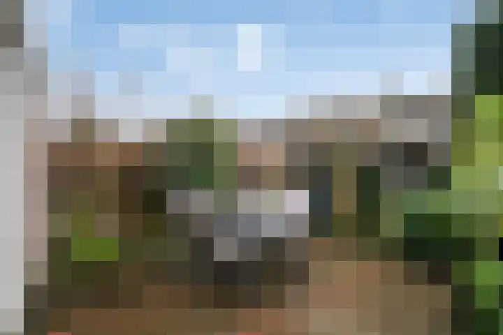 Sagitta 38 Veldhoven thumbnail 30