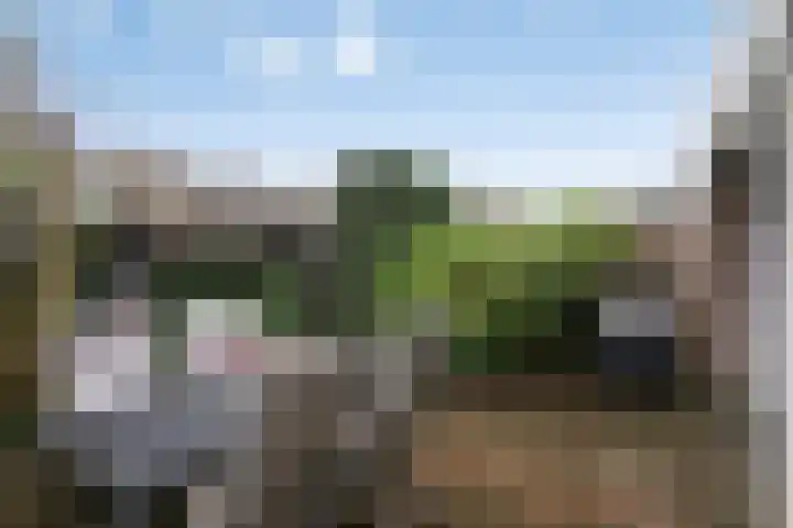 Sagitta 38 Veldhoven thumbnail 31