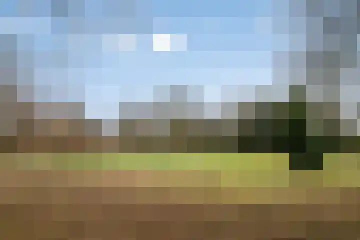 Sagitta 38 Veldhoven thumbnail 34
