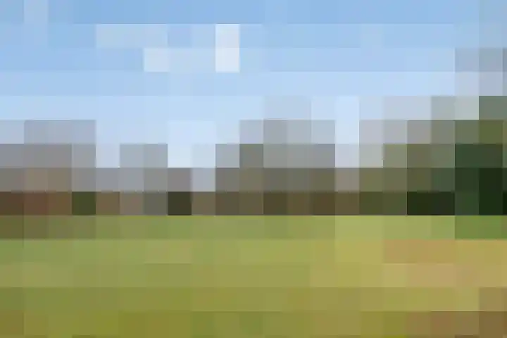 Sagitta 38 Veldhoven thumbnail 35