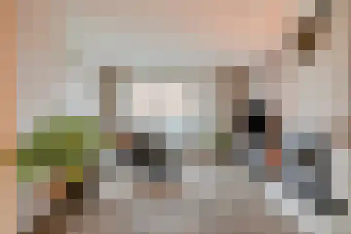 Sagitta 38 Veldhoven thumbnail 5