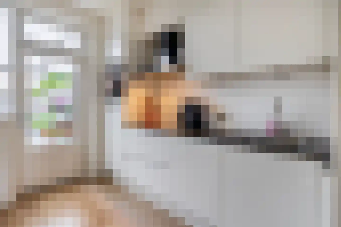 Sagitta 40 Veldhoven thumbnail 15